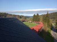 IMG_20230510_072837 (1024x768).jpg